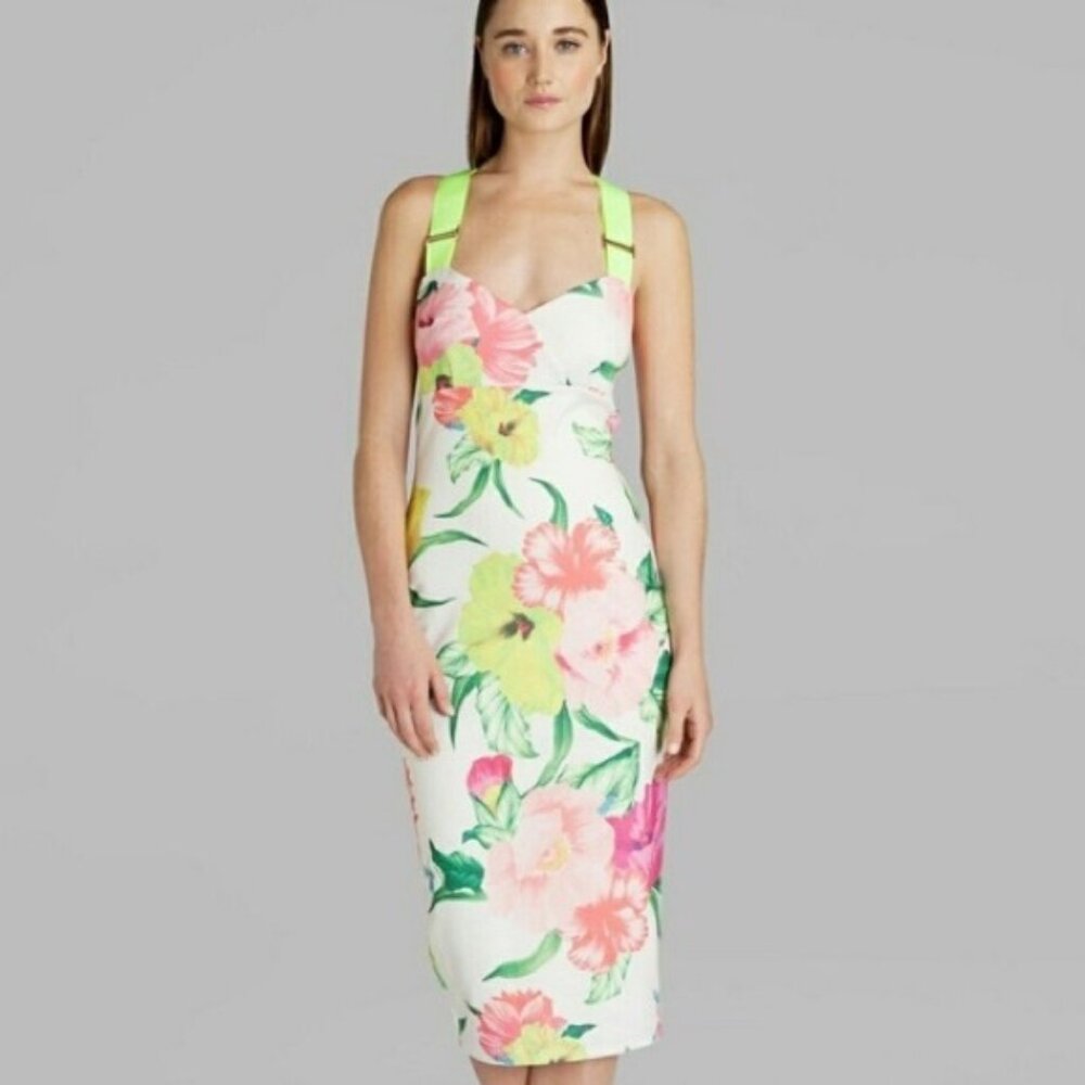 NWT Ted Baker Ted Baker Alexie Flowers at High Tea Dress - Size US 2 (TB…